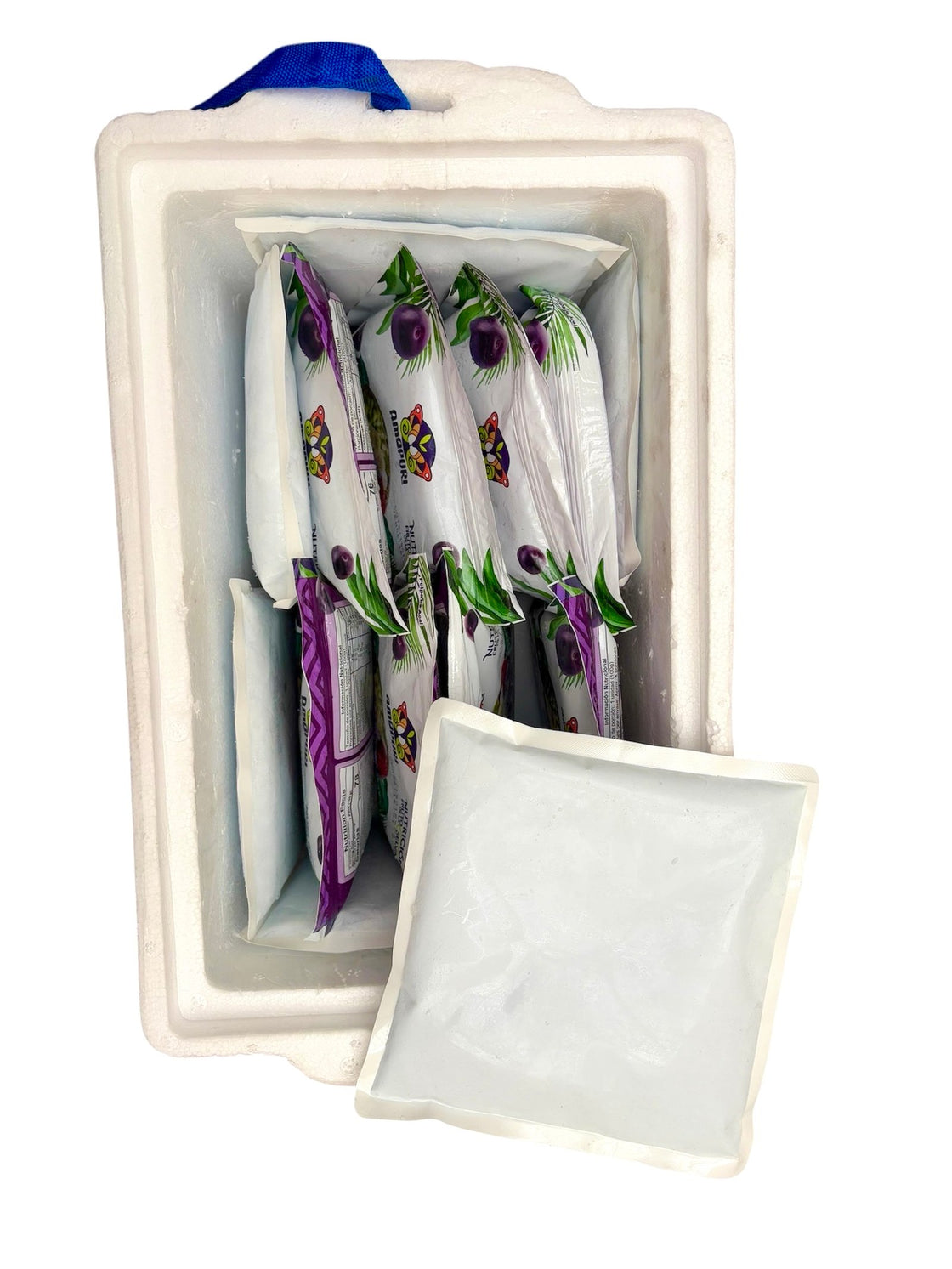 Kit viajero pulpas de açaí (20 litros)
