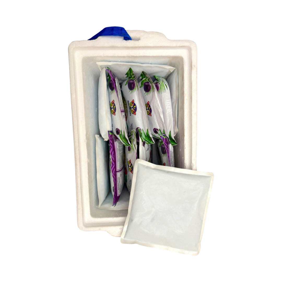 Kit viajero pulpas de açaí (20 litros)