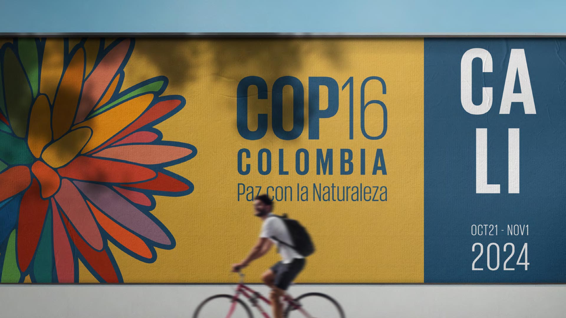 COP16