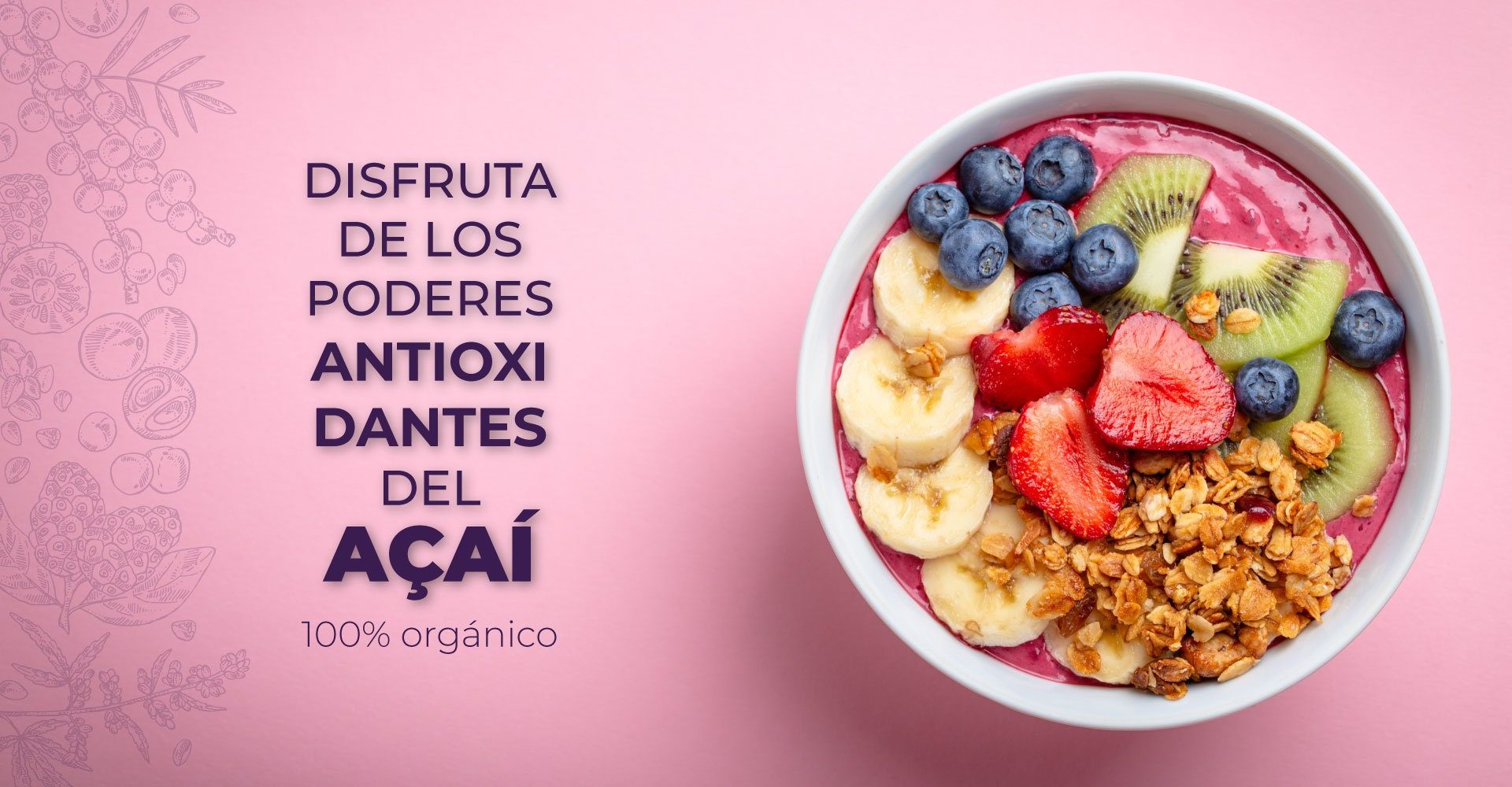 Açaí Antioxidantes